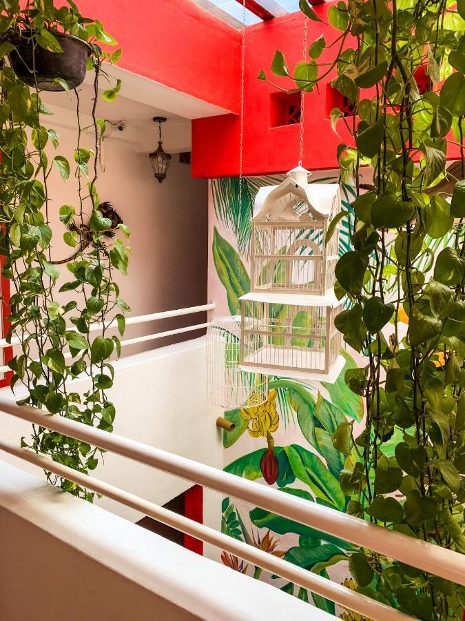 La Iguana Vallarta Lgbt Adults Only - Romantic Zone - Party Clubbing Street Puerto Vallarta Luaran gambar